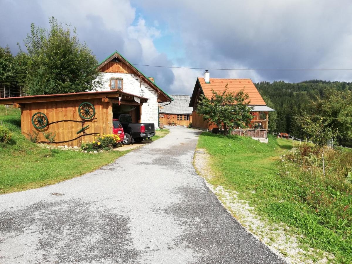 Langschlag  Ferienhaus Friedlhof מראה חיצוני תמונה